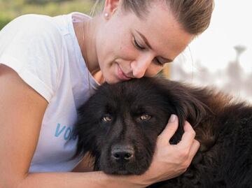 ¿Qué preparar en la primera noche de un perro adoptado?; lo que no te puede faltar en casa, según veterinaria