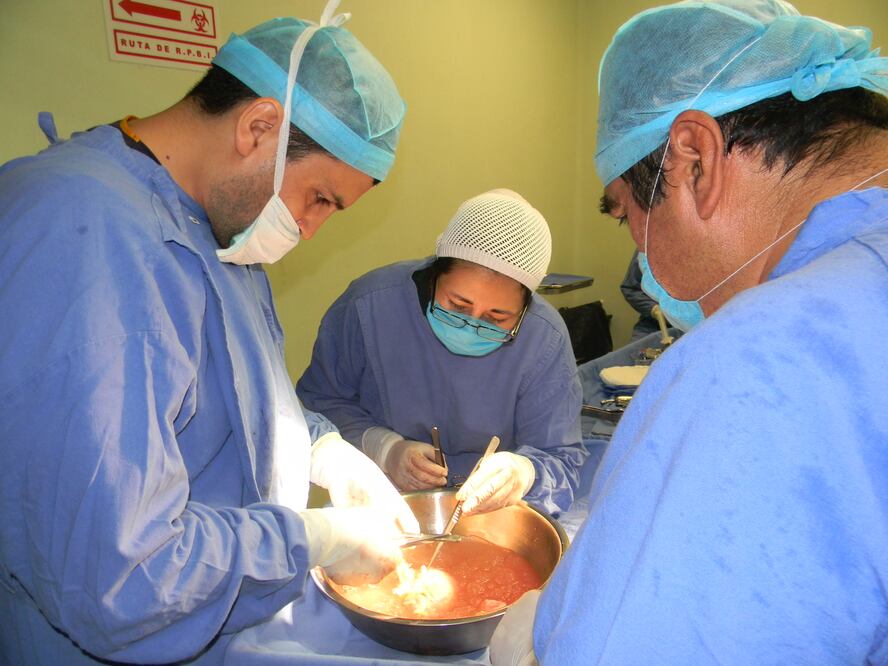 Foto: Archivo /EL UNIVERSAL