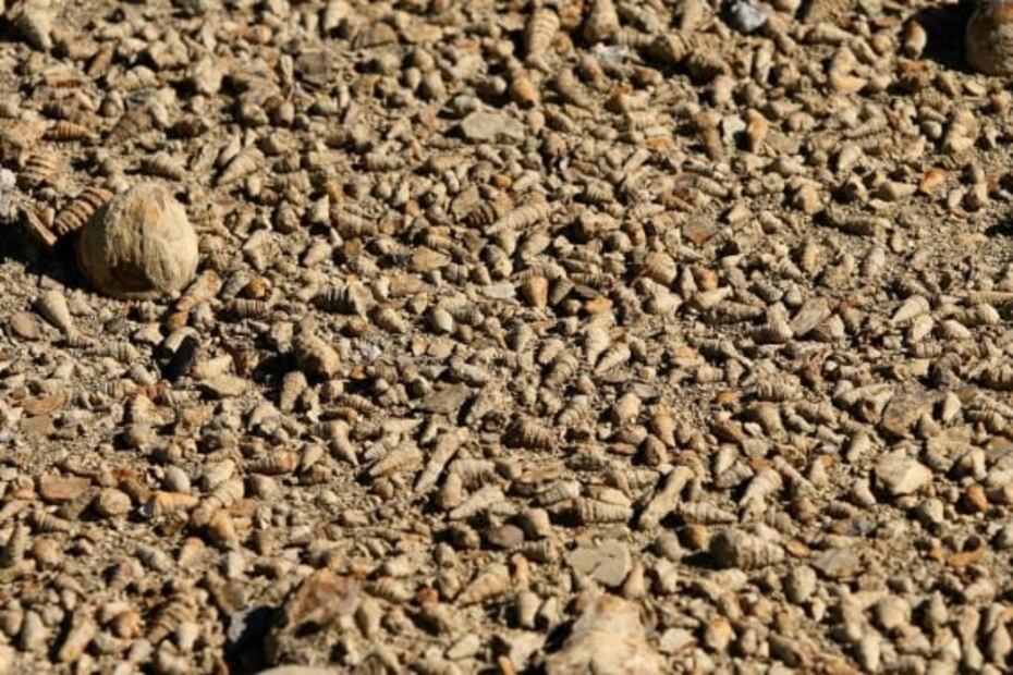 Puebla. Qué hacer en la Reserva de la Biósfera Tehuacán-Cuicatlán