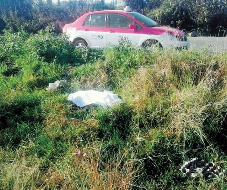 Habitantes de San Marcos Huixtoco reportaron que en una zona de pastizales estaba la pequeña cubierta con una sábana blanca. Foto/ARCHIVO EL UNIVERSAL