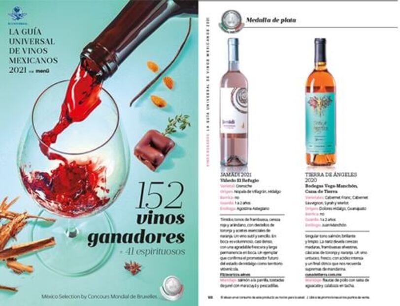 El primer viñedo en Hidalgo que busca su lugar en el mundo del vino