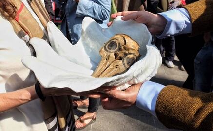 Realizan marchan fúnebre por la vaquita marina