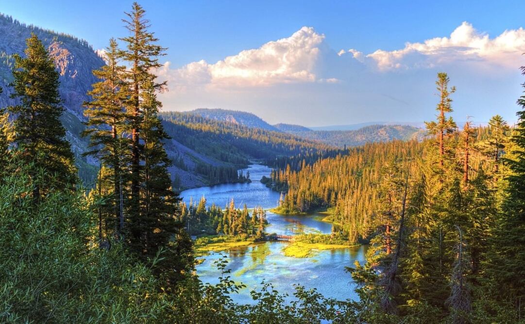 Día Mundial del Medio Ambiente. Foto: Pixabay