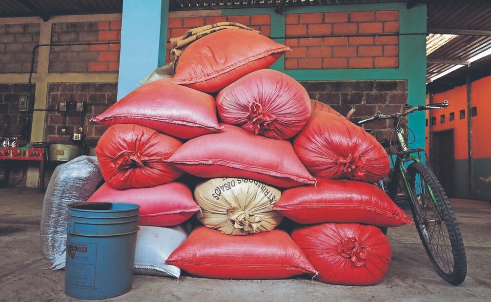 La familia Galchang, originaria de Cacahoatán, ha enfrentado los retos del mercado, el desalojo de su antiguo molino y el alza de costos en la industria del café. Fotos: de YARETZY M. OSNAYA
