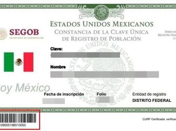 Pleno del Senado votará hoy nueva Ley de Población que crea CURP con fotografía