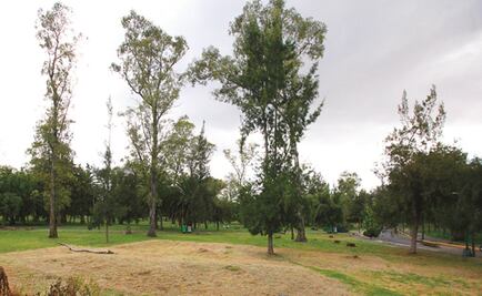 Detienen a hombre por robar celular de joven en bosque de Aragón