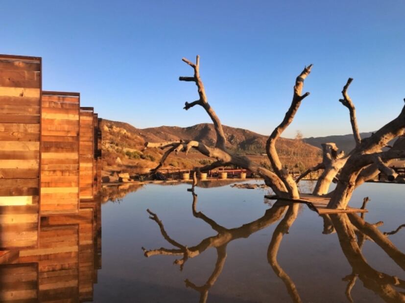Vinos, hotel y restaurante,una experiencia que no te puedes perder en Valle de Guadalupe