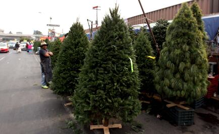 ¿Comprarás árbol de Navidad? Adquiere #HechoEnMéxico