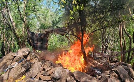 Elementos del Ejército desmantelan campamento clandestino en Tepuche, Sinaloa