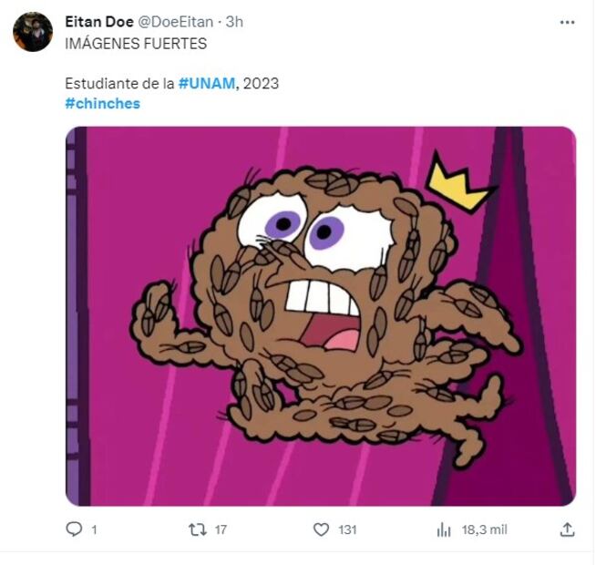Meme sobre chinches. Foto: Twitter