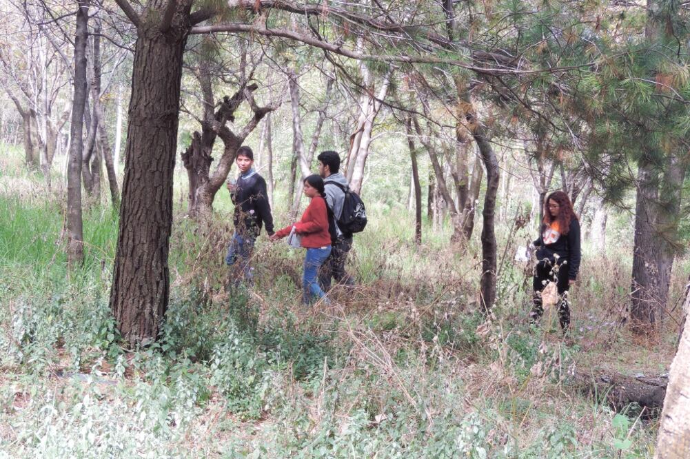 Dos brigadas buscaron rastros del joven en el bosque de Los Remedios y el parque La Hoja. (JUAN MANUEL BARRERA. EL UNIVERSAL)