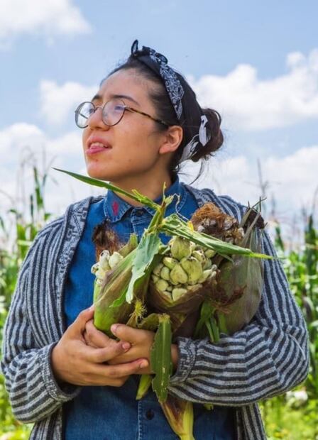 Estos son los reconocimientos especiales de #Los250MX de Culinaria Mexicana