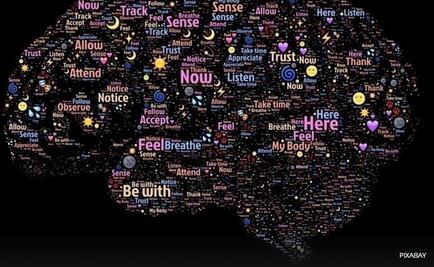 ¿Cómo fluye la información en el cerebro?