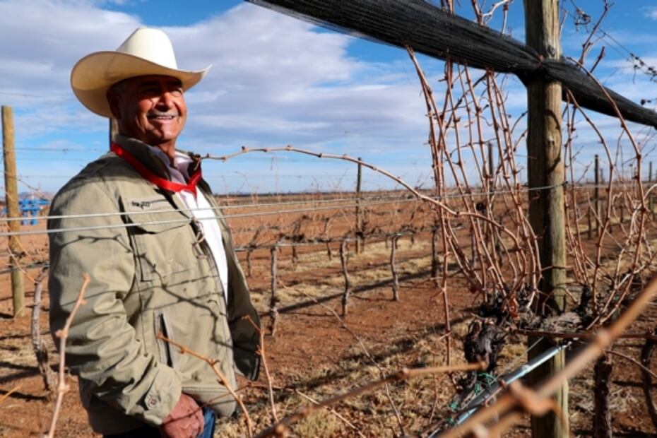 Cinco razones por las que el sotol podría ser el nuevo destilado de moda