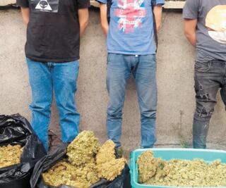 Narcomenudeo crece durante la pandemia e impone récord