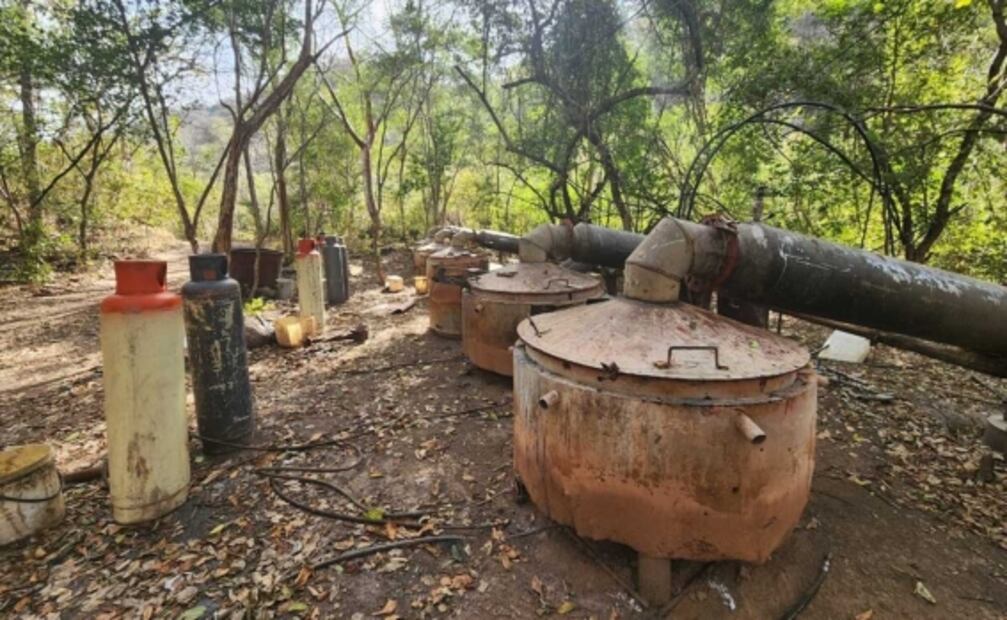 Desmantelan 18 laboratorios clandestinos y 60 plantíos de amapola y marihuana en Sinaloa y Michoacán 