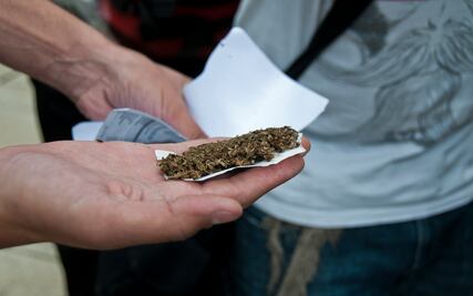 Presentan iniciativa para importar medicina a base de marihuana