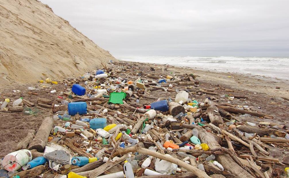 (Foto: Archivo / EL UNIVERSAL)