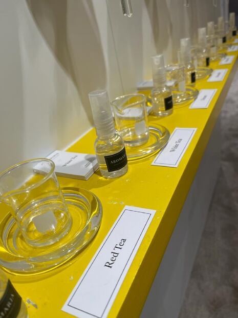 Descubre cómo encontrar el aroma perfecto para ambientar tu hogar