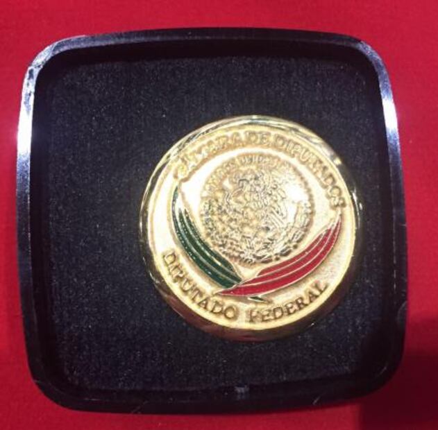 Regalan pines con chapa de oro a diputados infantiles