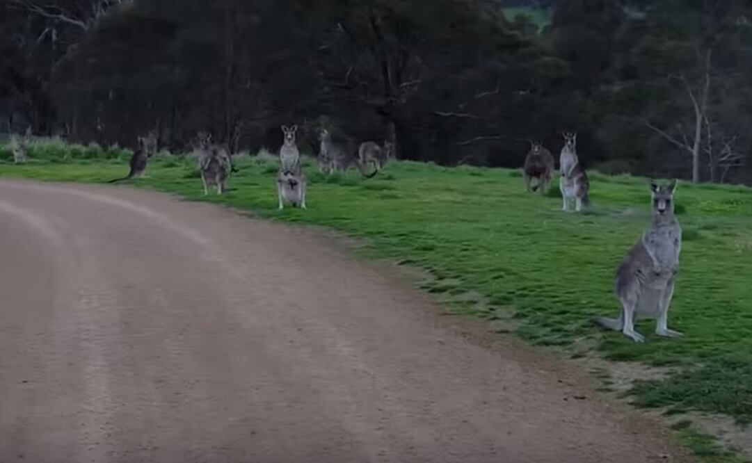 Foto: Tomada de YouTube