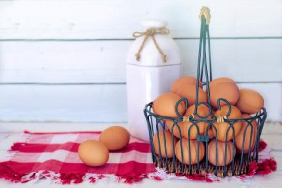 Alimentación adecuada para las neuronas
