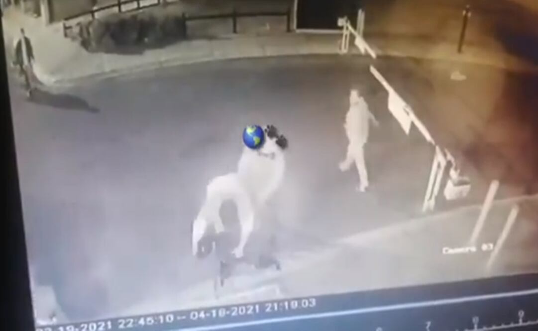 "Negro" sobrevivió al brutal ataque, recibió atención médica, igual que dos guardias de seguridad desarmados que también resultaron heridos cuando intentaron proteger al perro con su propio cuerpo. Foto: Especial