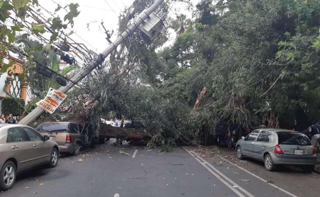 Foto: Twitter @BJAlcaldia