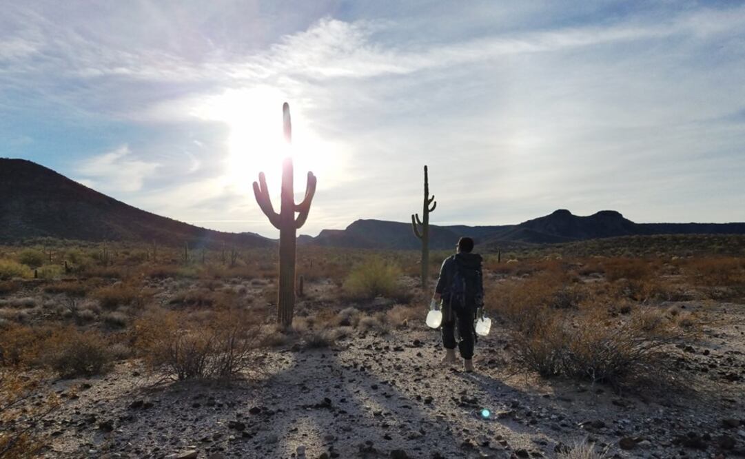 A border Patrol agent takes away the water left at the desert by members of No More Deaths, a non profit organization - Photo: Taken from No Mode Deaths' Facebook page