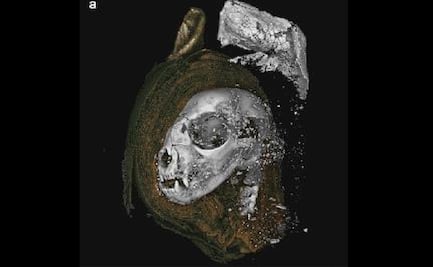 Secretos de momias de animales, develados con tecnología de imágenes 3D