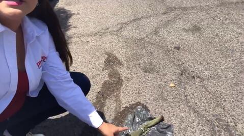 Arrojan bomba “molotov” a auto de candidata de Morena 