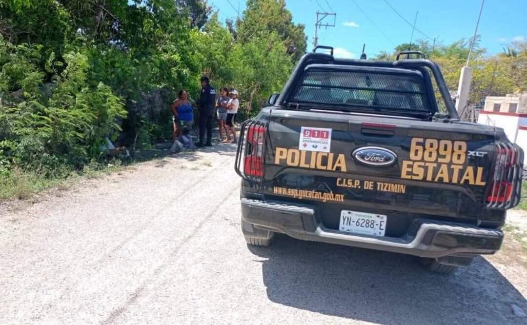 Autoridades municipales y estatales acudieron al lugar ante el reporte de 4 perritos envenenados y otros dos atacados con arma de fuego en Yucatán (22/05/2025). Foto: Especial