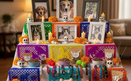 Altar para mascotas en Día de Muertos 2025: ¿qué día se pone y por qué?