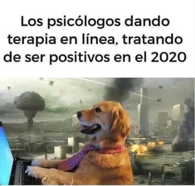 Instagram 2020: el año en memes