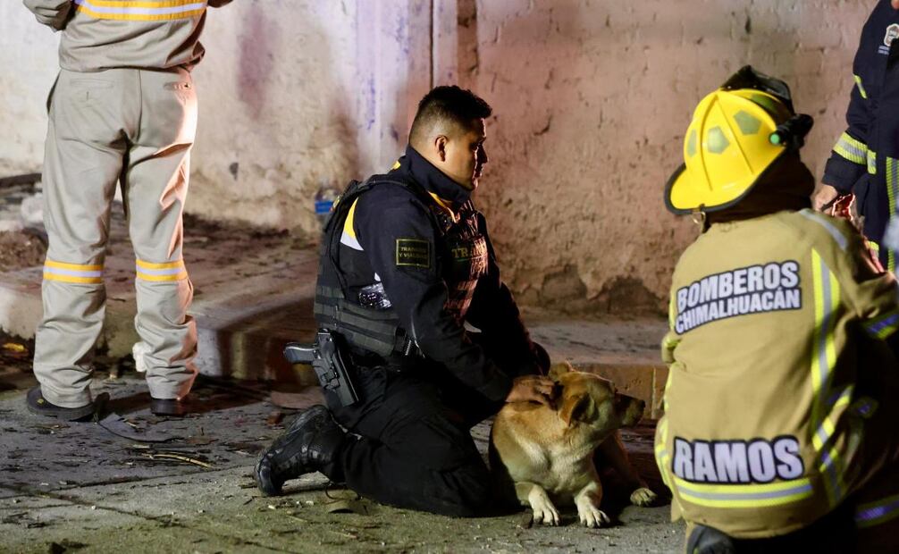 Policías y bomberos también rescataron animales de la zona (15/01/2025). Foto: Valente Rosas / EL UNIVERSAL