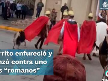 En pleno viacrucis, lomito sale a defender a Jesucristo en Coahuila