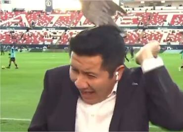 Reportero de ESPN es atacado por una paloma; no pudo evitar gritar del miedo