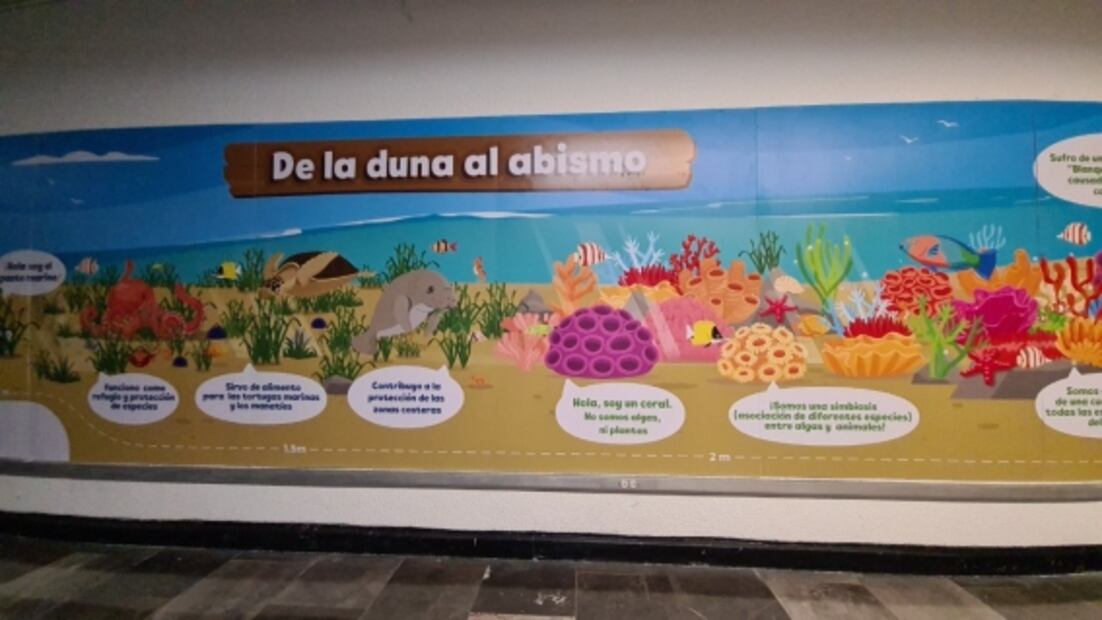 Así es el Festival de los Océanos en la estación La Raza del Metro