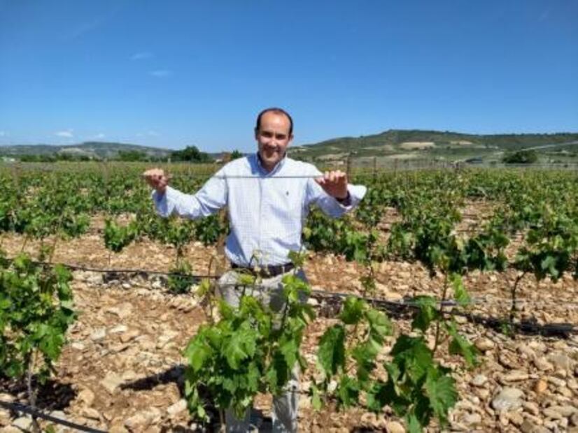 Bodegas Riojanas expresan innovación y tradición en su vino