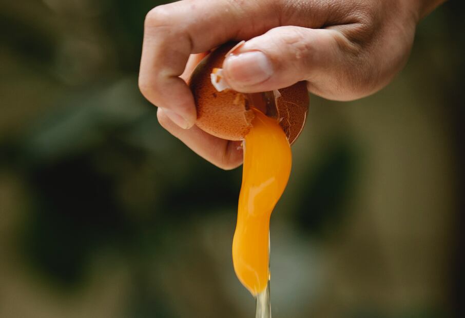 Foto: Klaus Nielsen / Pexels