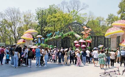 Atrae a cientos de familias el Festival de los Hongos 