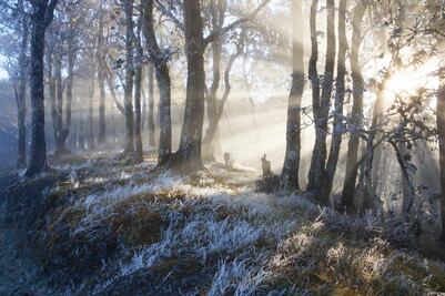 Pese al frío, actividades no paran en Sierra Juárez Oaxaca
