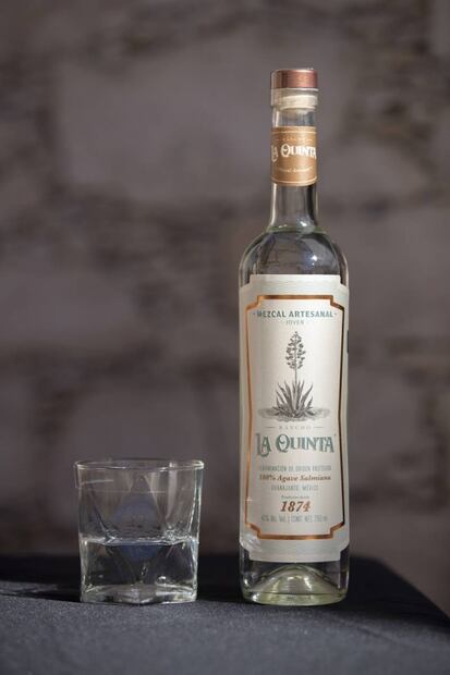 Guanajuato: territorio ancestral para destilar mezcal