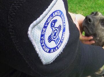 Brigada de Vigilancia Animal de CDMX rescató más de 250 animales en 2024; se concretaron más de 103 adopciones