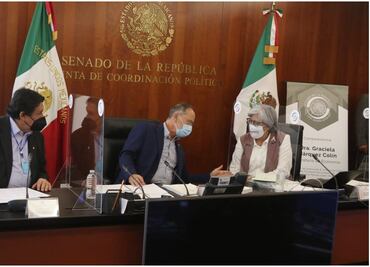 Sin propuesta de Ley de Emergencia Económica; veo la atención a los más vulnerables: Márquez Colín
