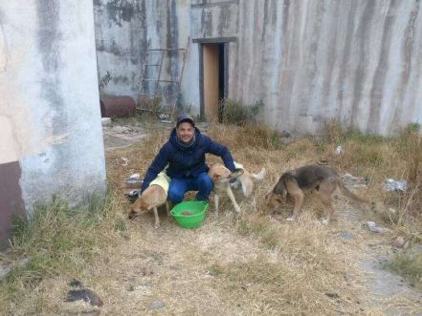 Comerciante de Tlaxcala se hace viral por abrigar a perros de la calle