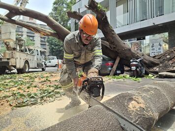 Benito Juárez enfrenta 25 contingencias; lluvias provocan inundaciones y caída de árboles