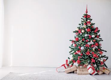Días feriados en diciembre 2020. ¿Cuántos quedan en el año?