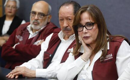 Elección interna de Morena, hasta mediados de 2020: Polevnsky