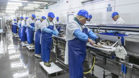 "Existe la idea de que todo el tiempo se produce algún tipo de progreso tecnológico. Eso es una fantasía"